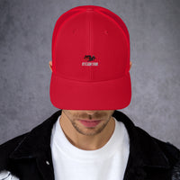 Gorra tipo trucker H